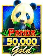 pg slot วอ ล เล็ ตบา คา ร่า fifa55 ที่คุณต้องลอง